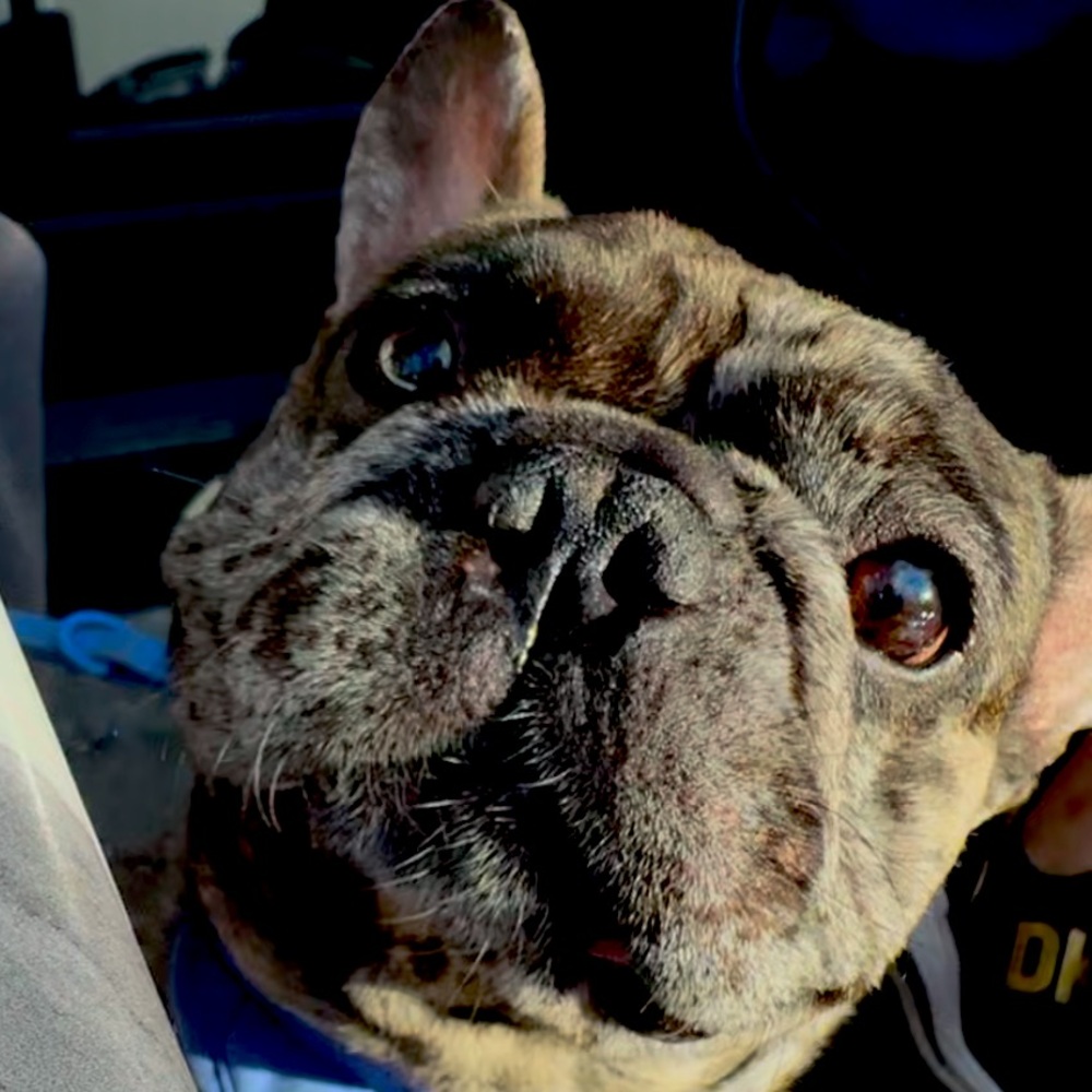 Meet your Posher, Jarell